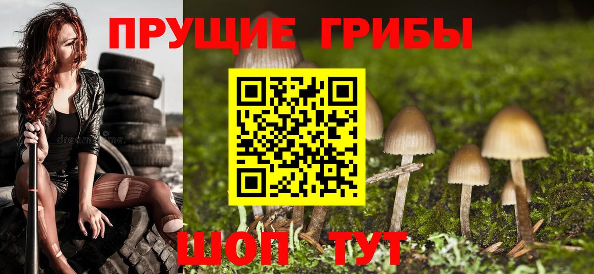 Галлюциногенные грибы Cubensis  Галлюциногенные грибы мицелий  Вход с VPN  Семилуки 