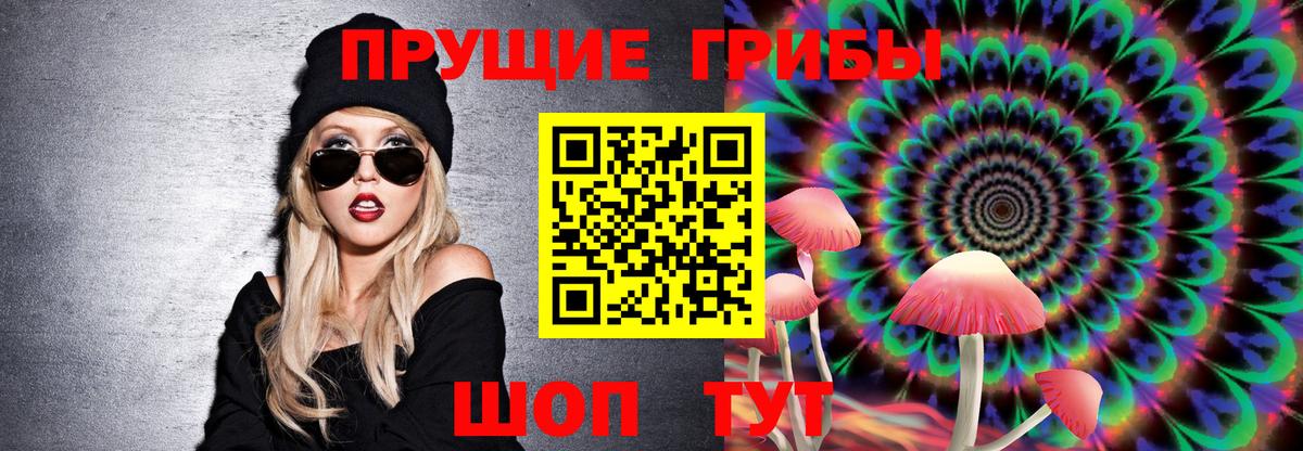 Псилоцибиновые грибы Cubensis Семилуки